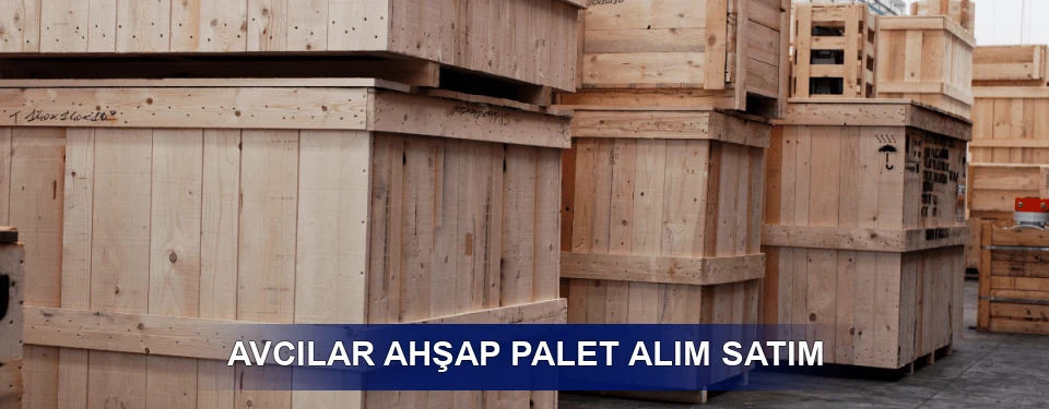 Avcılar Fiyatlandırma