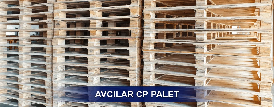 Avcılar Standart Tipler