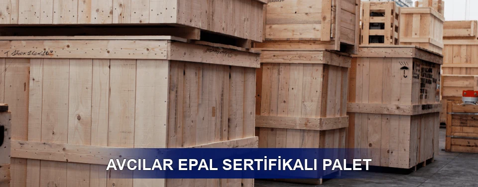 Avcılar Fiyatlandırma