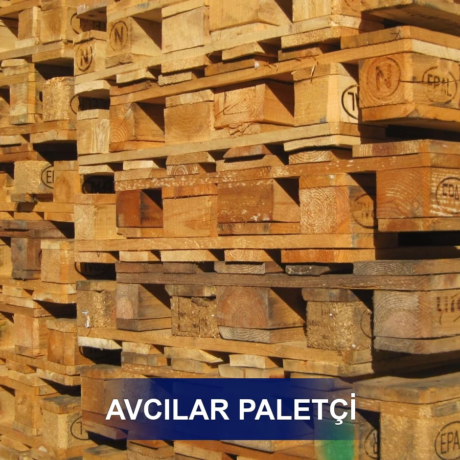 Avcılar Paletçi