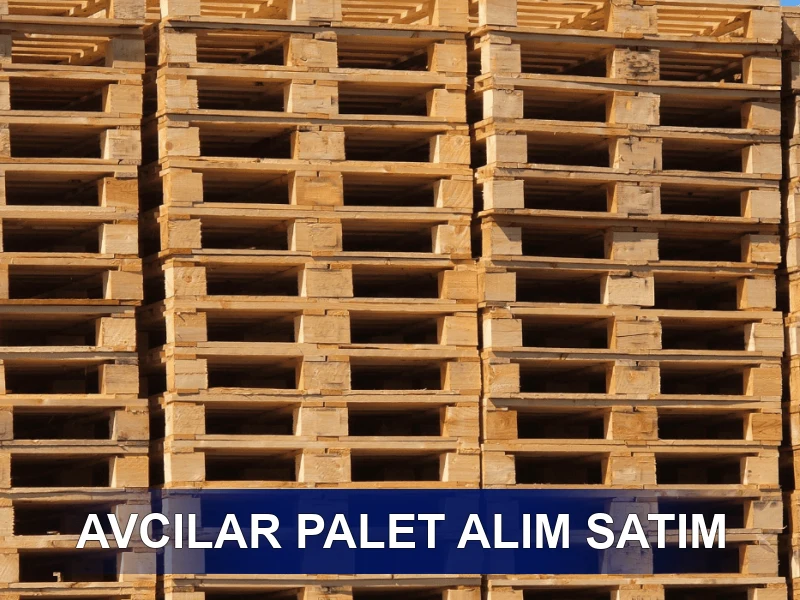 Avcılar Palet Galeri 3