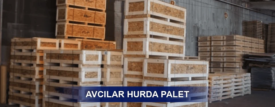 Avcılar Sınıflandırma