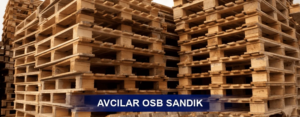 Avcılar Ölçü Planı