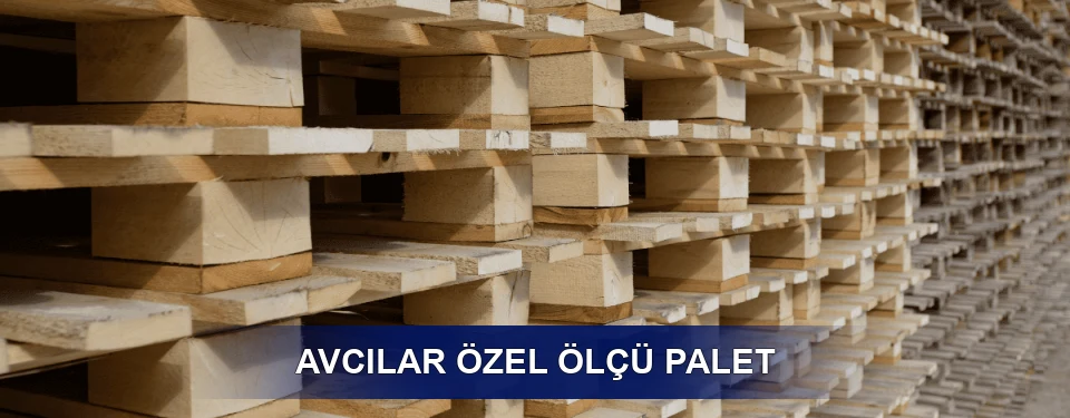 Avcılar Yük Kapasitesi