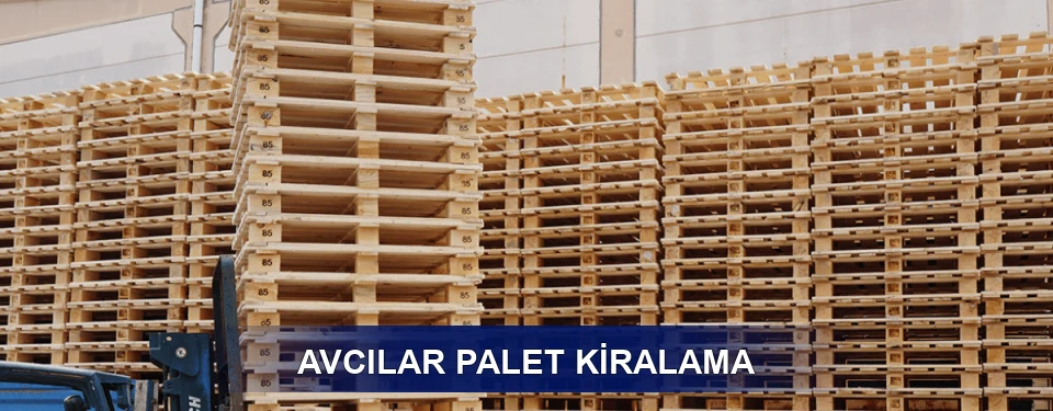 Avcılar Uzun Dönem