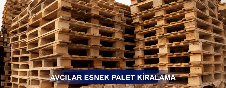 Avcılar Fiyatlandırma