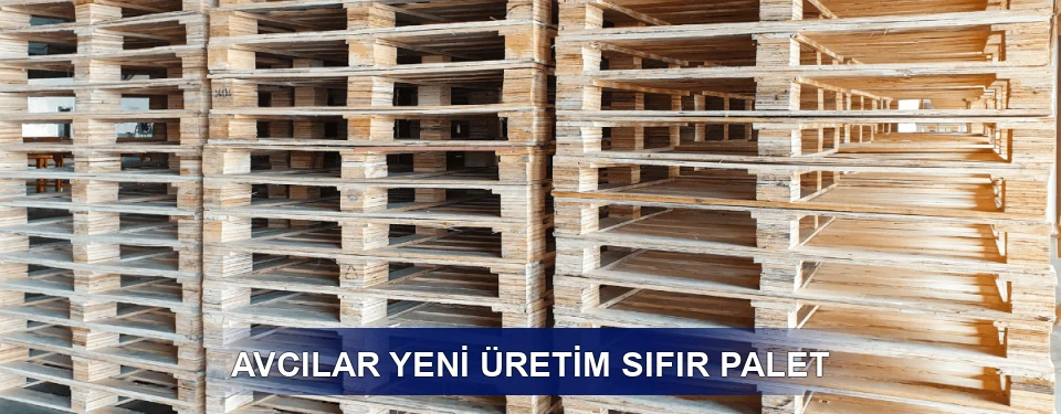 Avcılar Fiyatlandırma