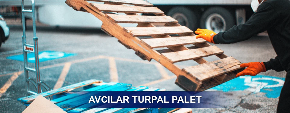 Avcılar Market Uyumu